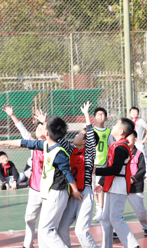 开云-Karsa迎来三赛季出色发挥，塞尔维亚队观众热烈欢呼！的简单介绍-开云